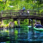 Canales del Spreewald | Foto de istockbygettyimages